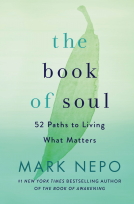 book cover for The Book of Soul