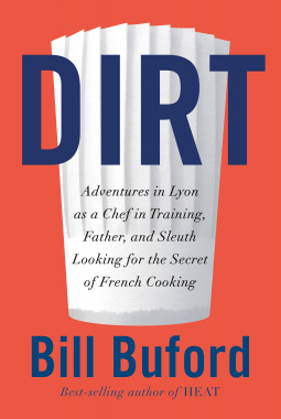 book cover for Dirt