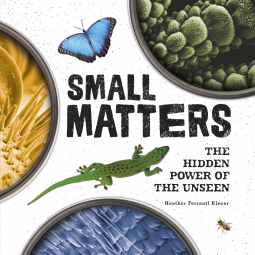 book cover for Small Matters