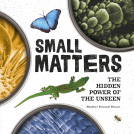 book cover for Small Matters