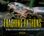 Cover Image: Tracking Pythons