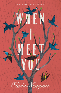 book cover for When I Meet You