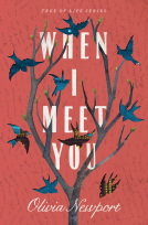 book cover for When I Meet You