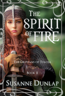 book cover for The Spirit of Fire