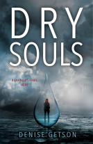 book cover for Dry Souls