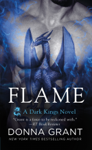 book cover for Flame