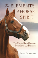 book cover for The Elements of Horse Spirit