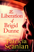book cover for The Liberation of Brigid Dunne