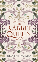 book cover for Mary Toft; or, The Rabbit Queen