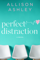 book cover for Perfect Distraction