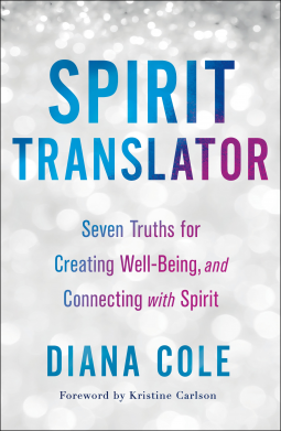 book cover for Spirit Translator