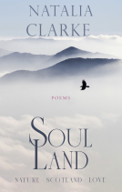 book cover for Soul Land
