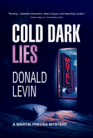 book cover for Cold Dark Lies