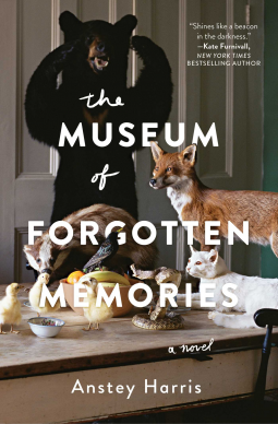 book cover for The Museum of Forgotten Memories