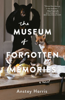 book cover for The Museum of Forgotten Memories