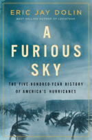 book cover for A Furious Sky