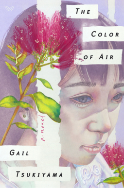 book cover for The Color of Air