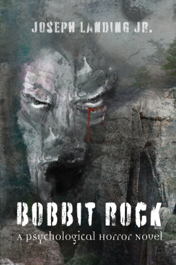 book cover for Bobbit Rock