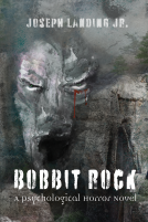 book cover for Bobbit Rock