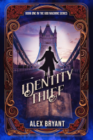 book cover for The Identity Thief