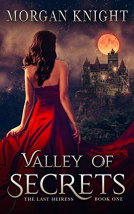 book cover for Valley Of Secrets