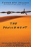 book cover for The Punishment