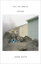 book cover for Cool for America