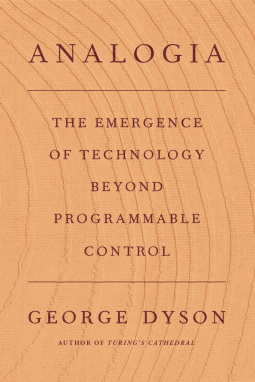 book cover for Analogia