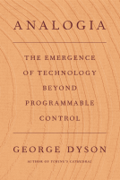 book cover for Analogia