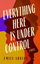 book cover for Everything Here is under Control