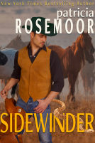 book cover for Sidewinder