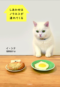 しあわせはノラネコが連れてくる 表紙
