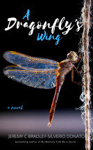 book cover for A Dragonfly's Wing