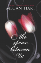 book cover for The Space Between Us