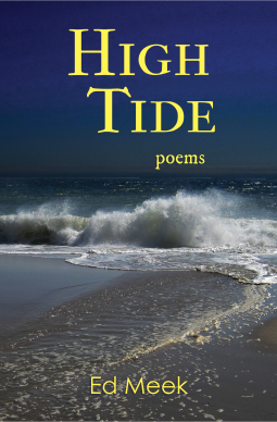 book cover for High Tide