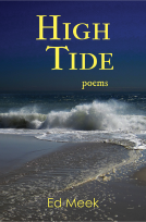 book cover for High Tide