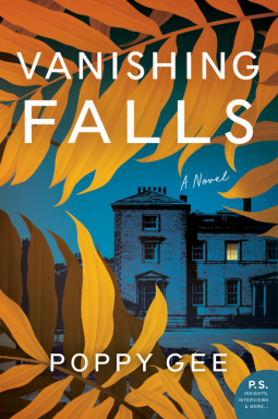 book cover for Vanishing Falls