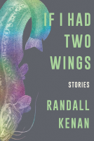 book cover for If I Had Two Wings