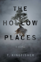 book cover for The Hollow Places