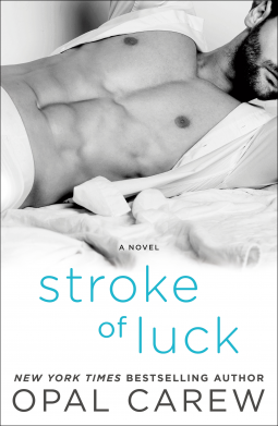 book cover for Stroke of Luck