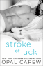 Cover Image: Stroke of Luck