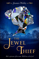 book cover for The Jewel Thief