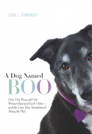 book cover for A Dog Named Boo