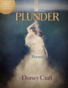 book cover for Plunder