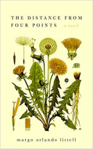 book cover for The Distance from Four Points
