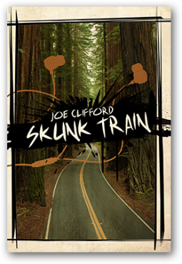 book cover for Skunk Train