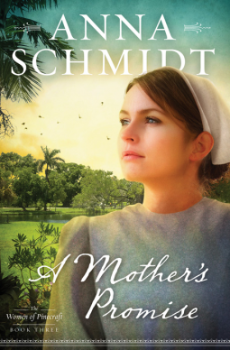 book cover for A Mother's Promise