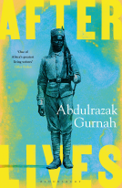 book cover for Afterlives