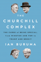 book cover for The Churchill Complex