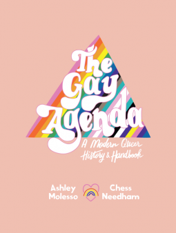 book cover for The Gay Agenda